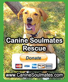 Canine Soulmates Rescue