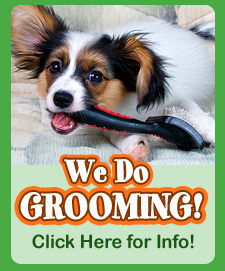 Advertise Here