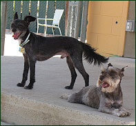 We love Riverside Kennel